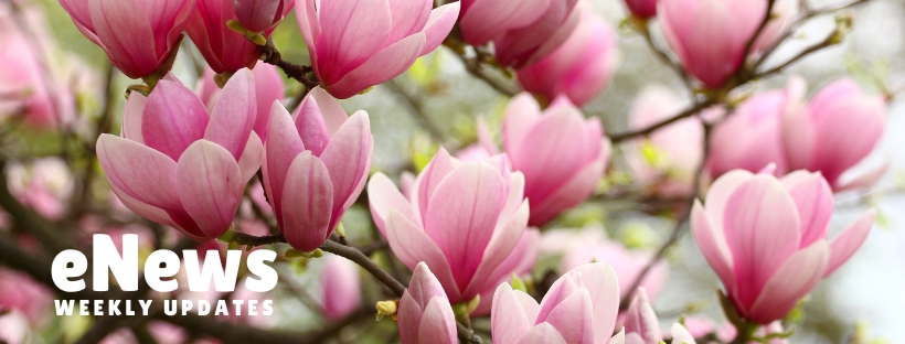 Spring eNews Header.jpg