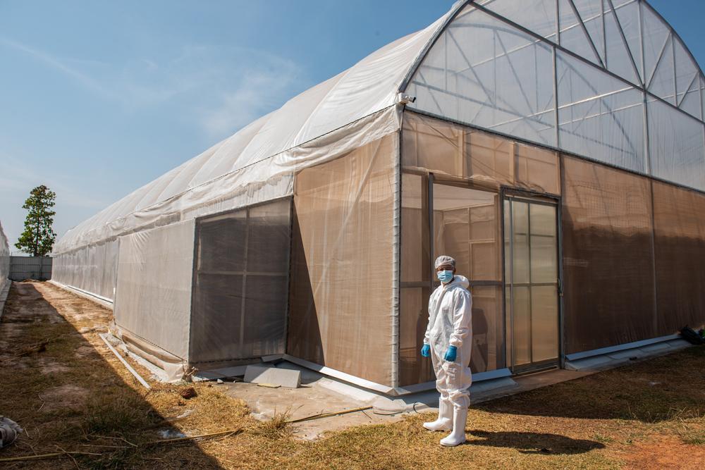 #1 For Pollen Defense / AllergyGuard® Greenhouse Screen