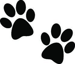 black_paw_prints.jpg