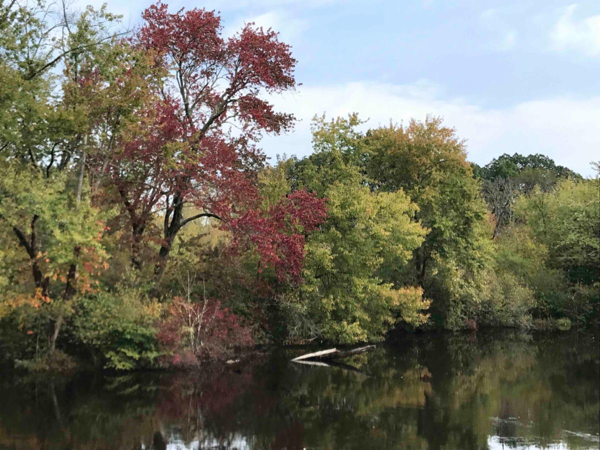 photo is a daytime landscape showing Ipswich river with fall foliage 