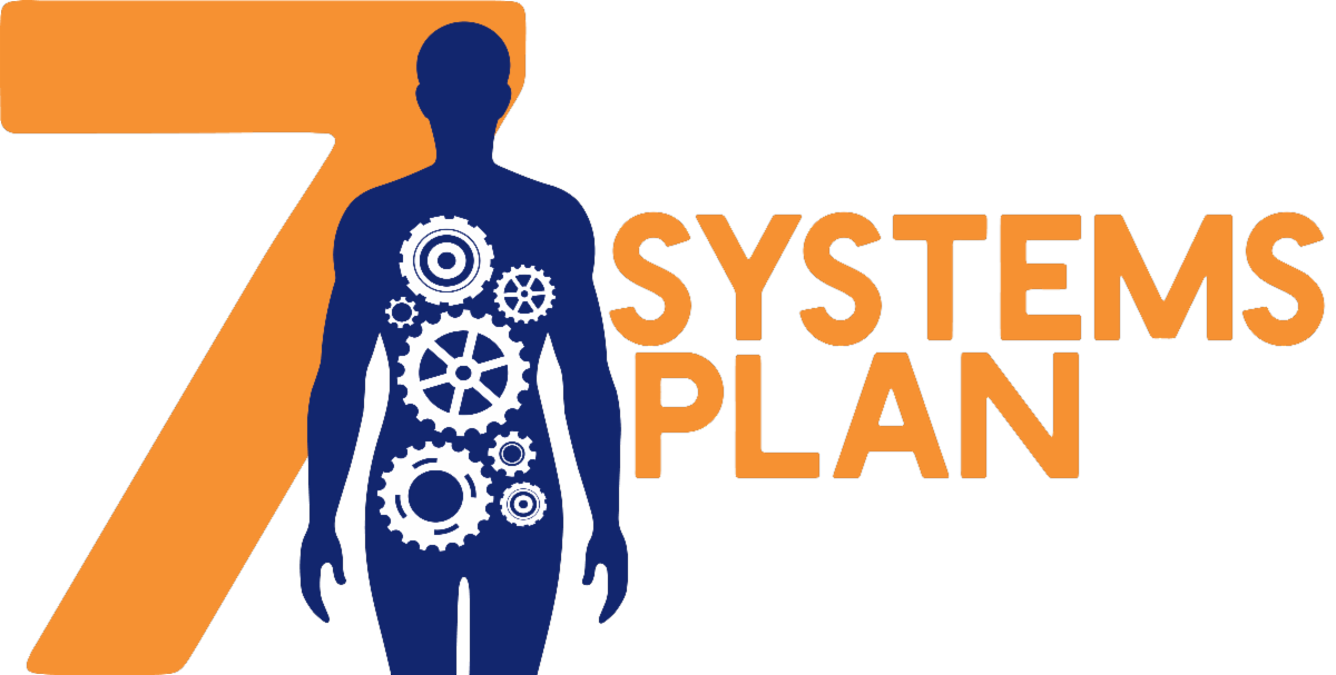 7SystemsLogo option2.png