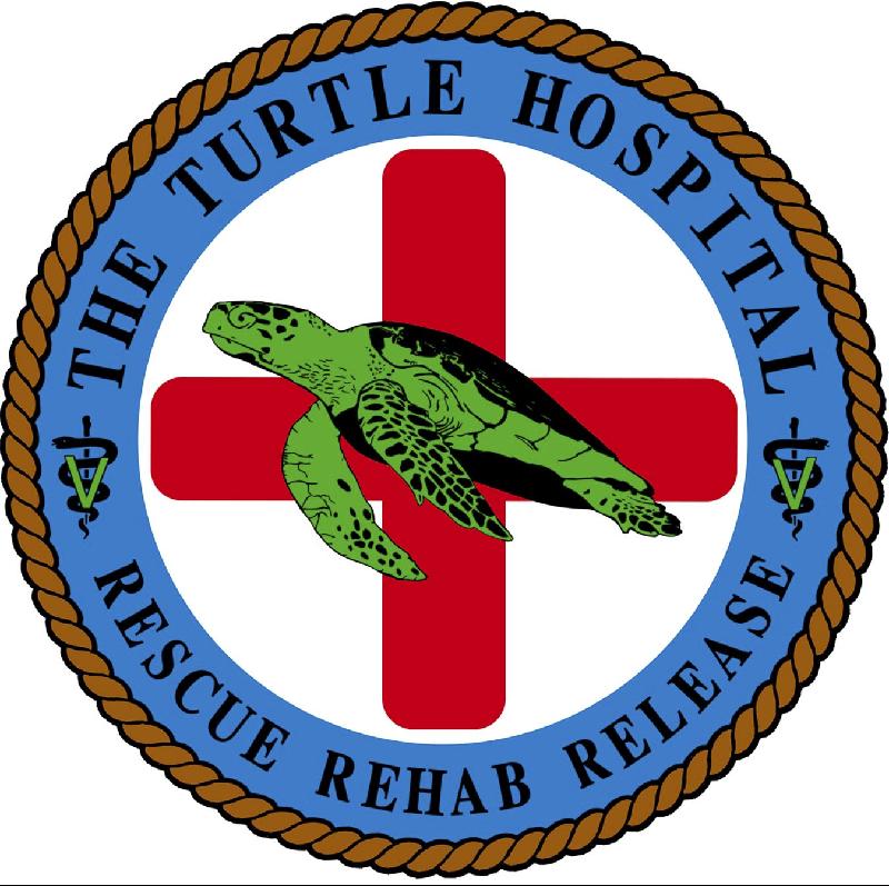 The Turtle Hospital