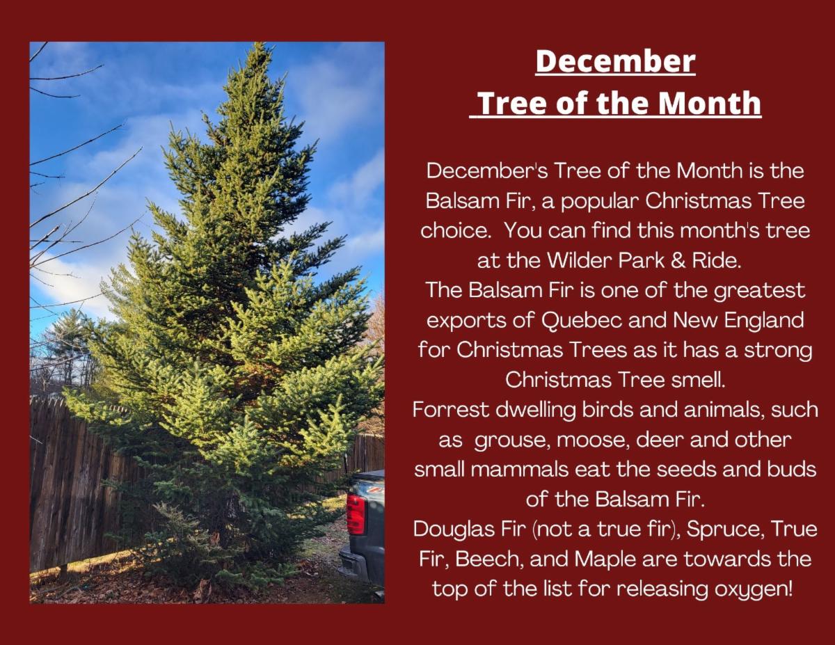 Check out what Hartford Parks & Recreation Weekly News has going on!