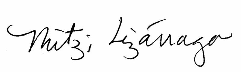 Lizarraga Signature