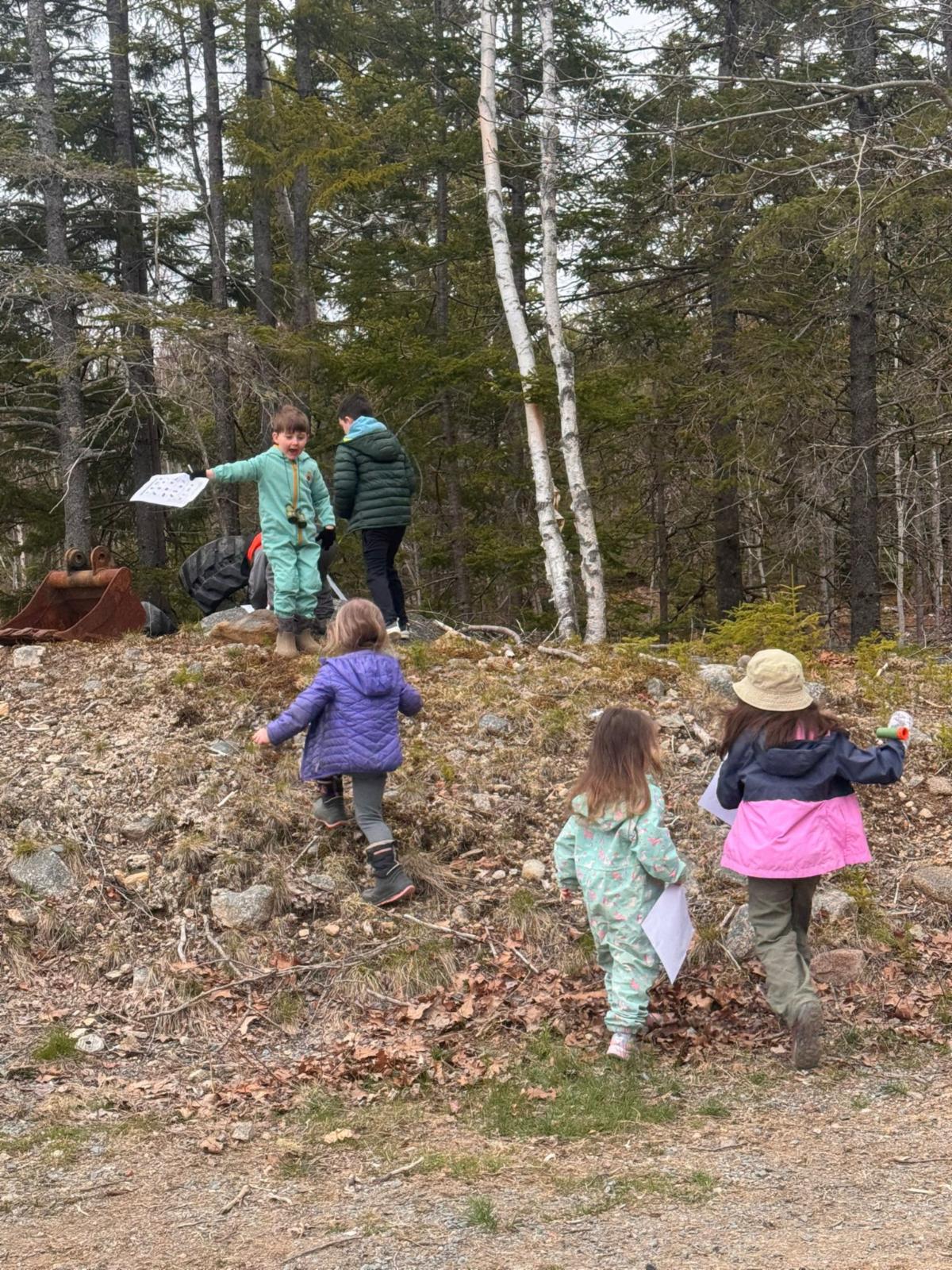 children playing outside in the forest