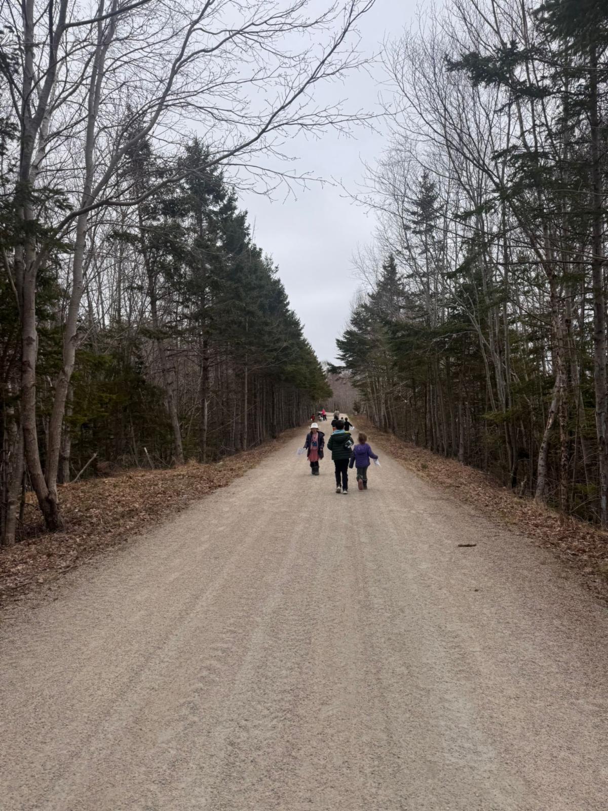 children walking on the trail 