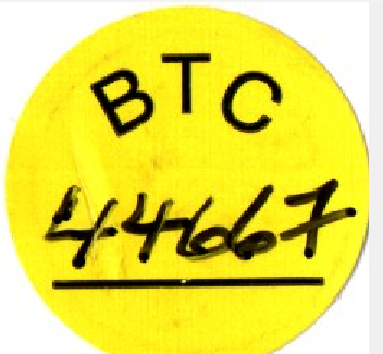 44667