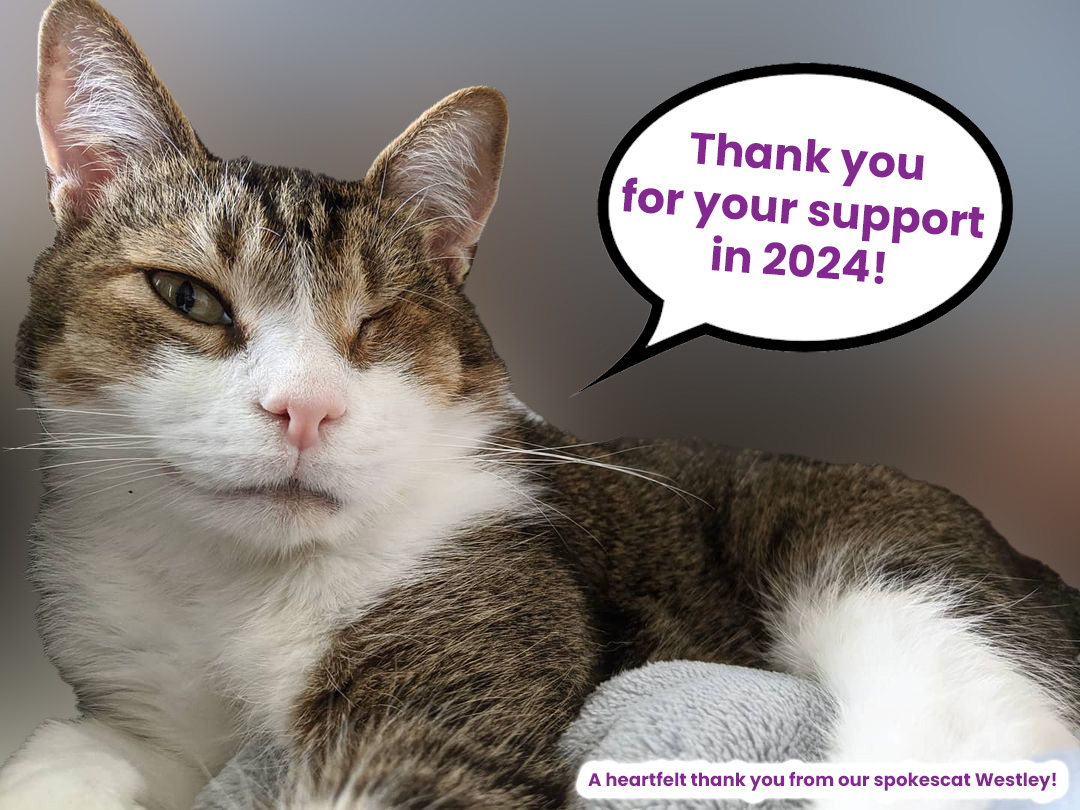 Westley the Spokescat Says THANK YOU!