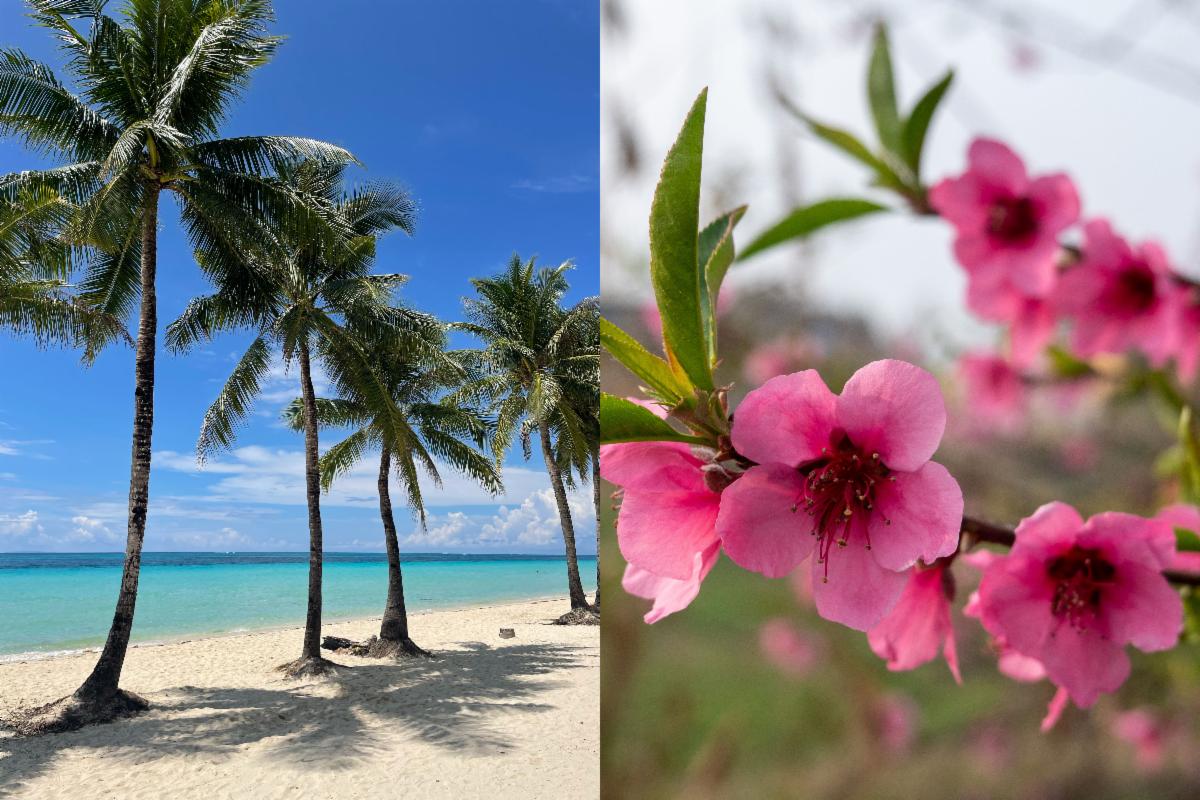 Left photo by Mark Daza_right photo by Adobe Stock Image