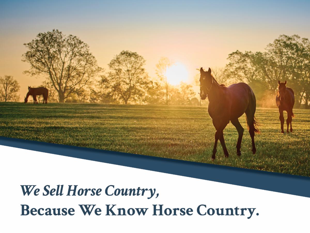 Your Dream Equestrian Property Awaits!