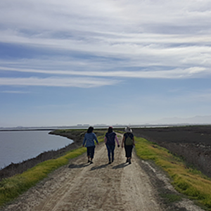 Photo of three people walking the Shoreline trail as seen from behind 