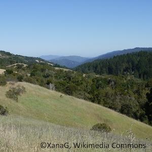Photo of green hills and a blue sky at Monte Bello Open Space Preserve - photo by Xanax from Wikimedia Commons