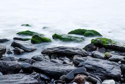 Photo of the tide pools