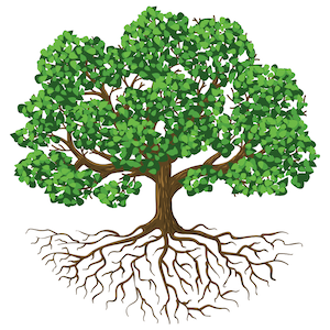 Clipart of a detailed green tree with brown roots underneath