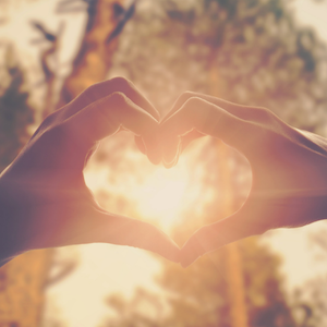 Stock photo of two hands making a heart shape around the sun with the forest blurry in the background