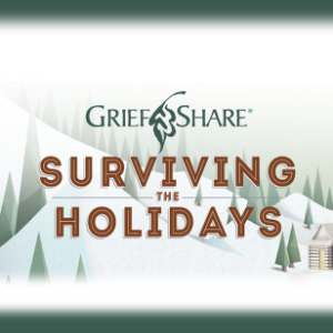 GriefShare Surviving the Holidays logo over a winter hillside scene clipart