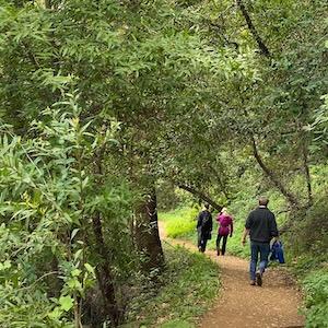Photo of three people hiking a dirt trail surrounded by lush green trees