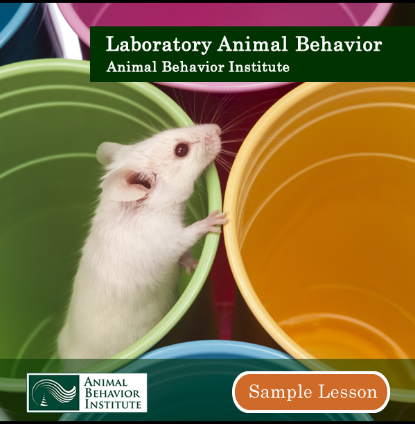 See a Sample Lesson from ABI