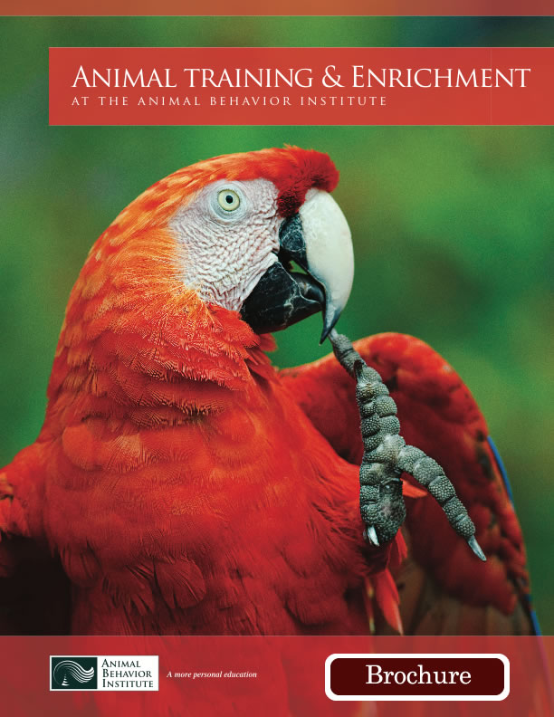 a Professional Animal Trainer