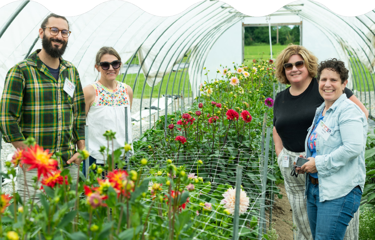Four adults gathering a garden hoop house filled with dahlias