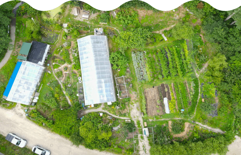 Aerial view of a school community garden featuring two large greenhouses and multiple cultivated plots with various plants.