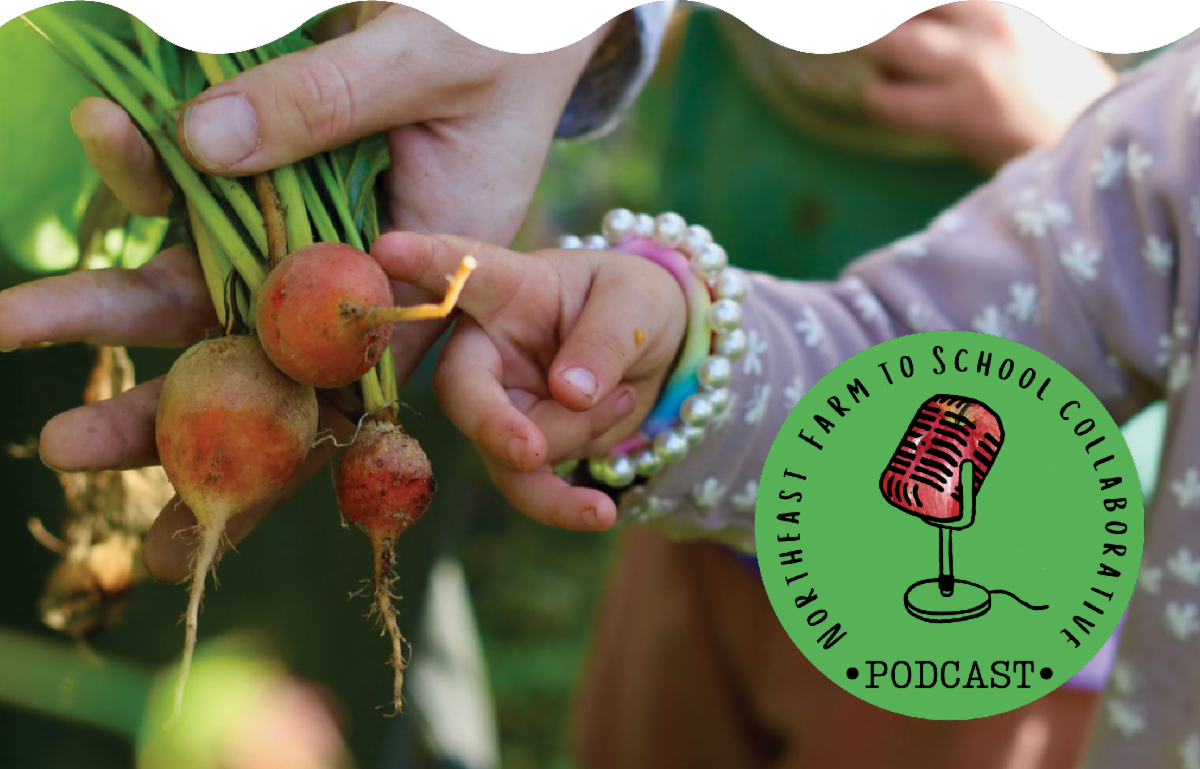 A small child's hand reaching to touch freshly picked radishes. A green graphic displaying a microphone and the text "Northeast Farm to School Collaborative Podcast" is on the right side.
