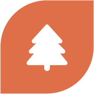 Pine tree icon