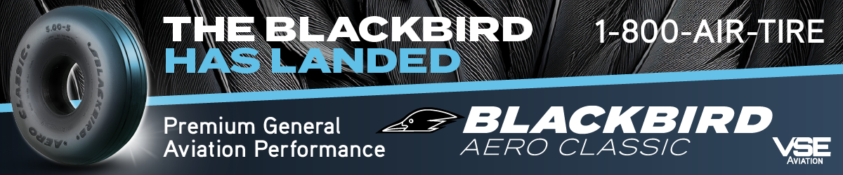 VSE-blackbird