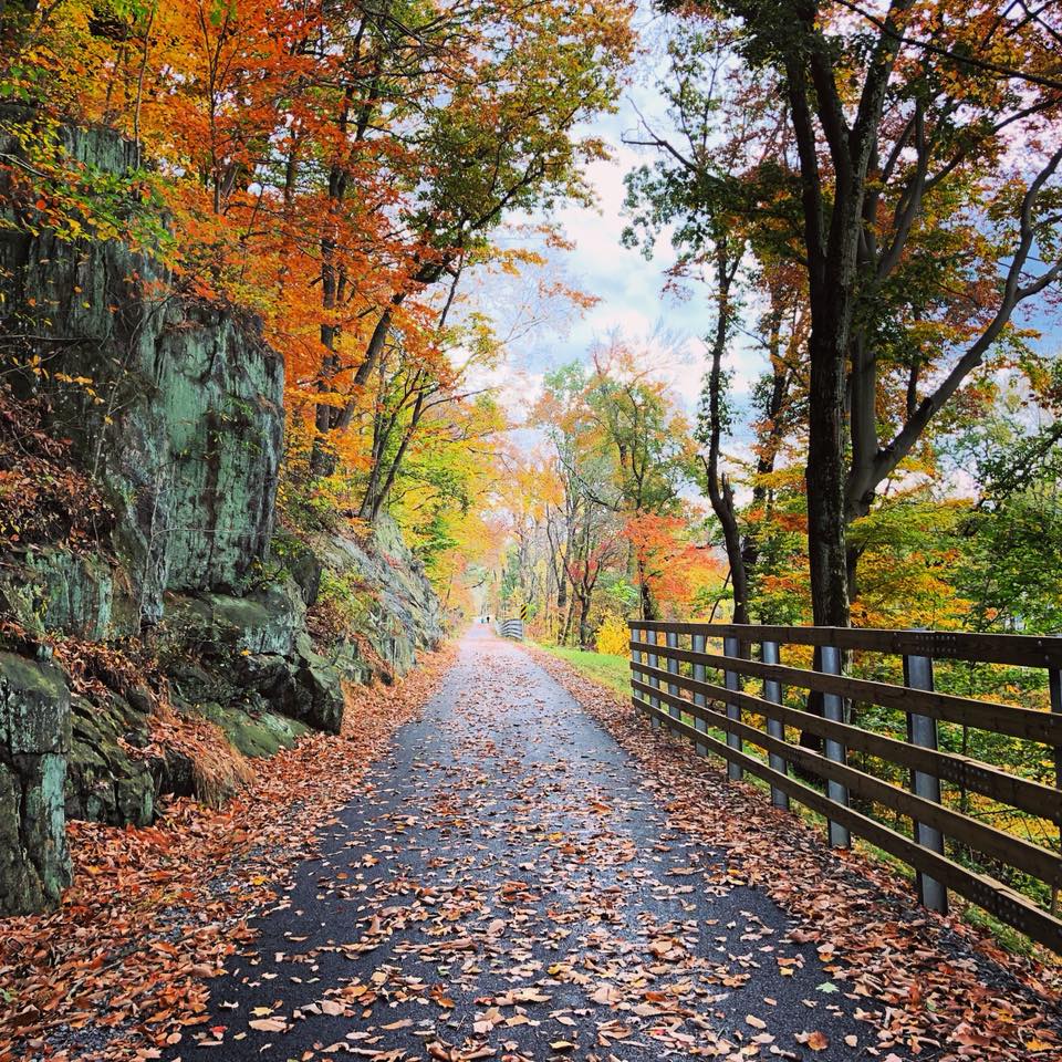 Chester Creek Trail Credit Delco Planning Dept. 