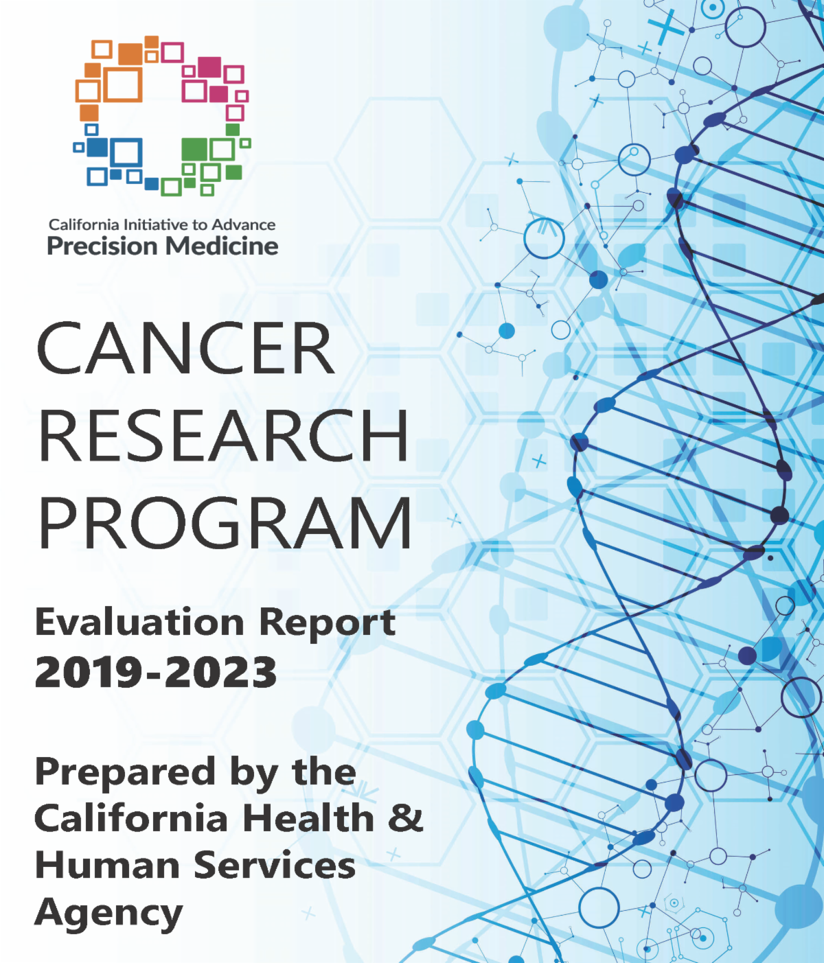 CIAPM Cancer Disparities Research Program Evaluation Report
