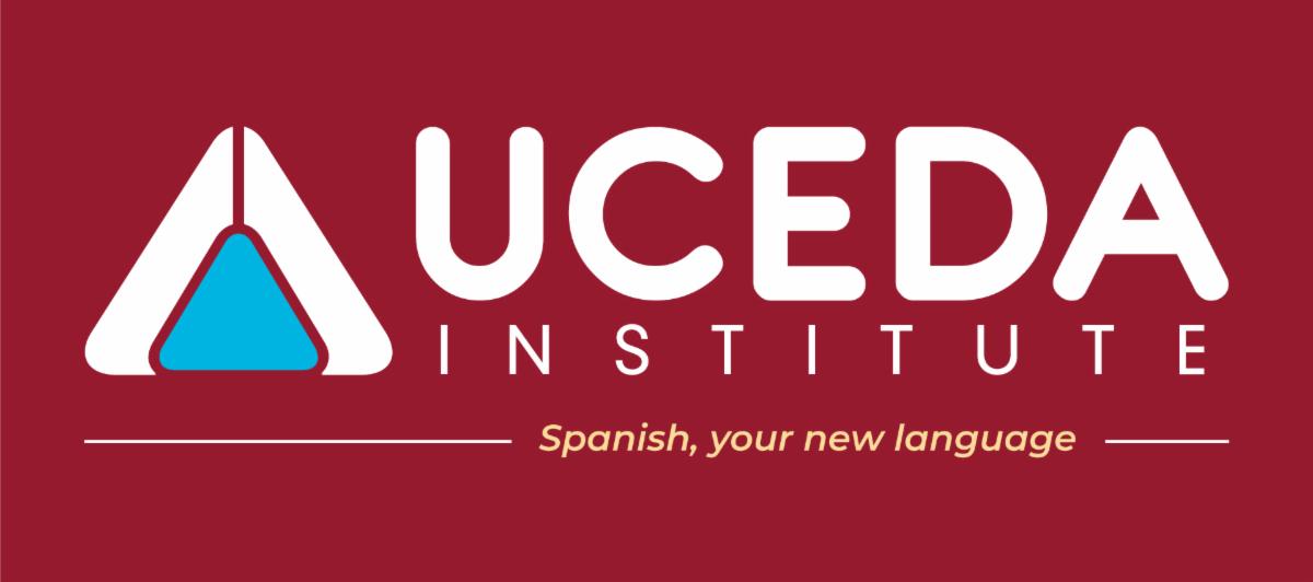 Initial Survey Spanish Lessons