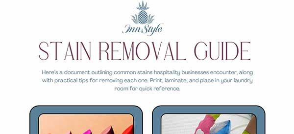 Stain Removal Guide Graphic