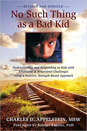 Book cover for No Such Thing as a Bad  Kid