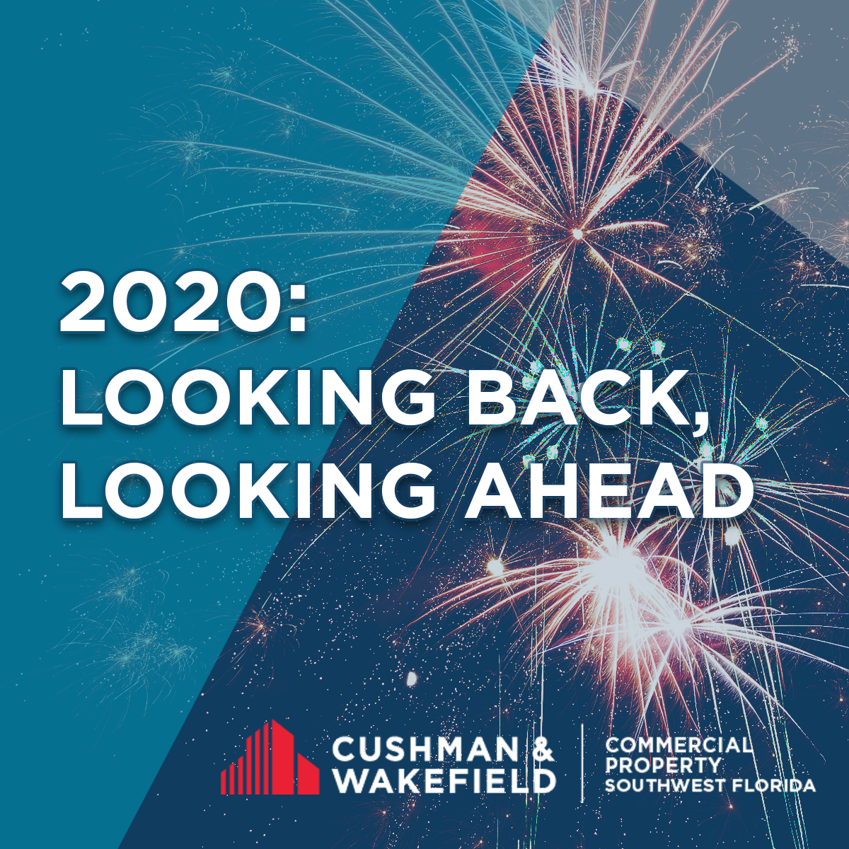 Looking back and looking ahead to 2021
