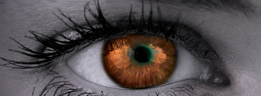 Gold Navy Real Estate Review Instagram Post _1000 _ 500 px_ _2_.png