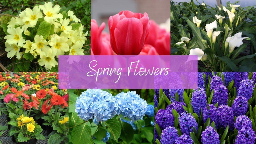 Smith April Newsletter 2023