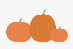 Pumpkin Patterns 3 10-6-26