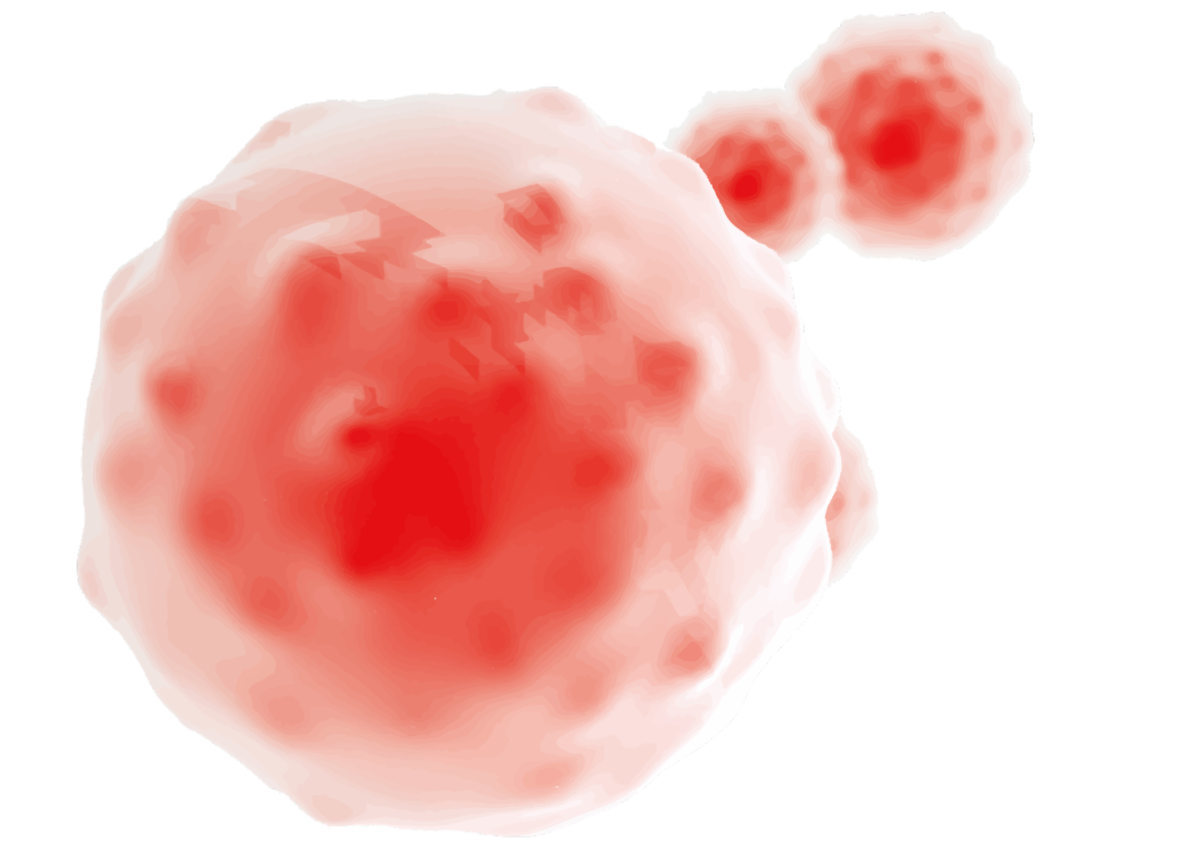 556d2e98-8352-4e8d-9661-267fc3bfa2d6 image