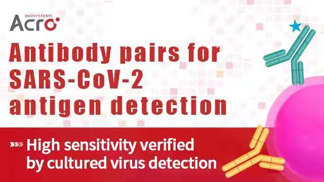 Can new SARS-CoV-2 variants be detected by rapid antigen test?