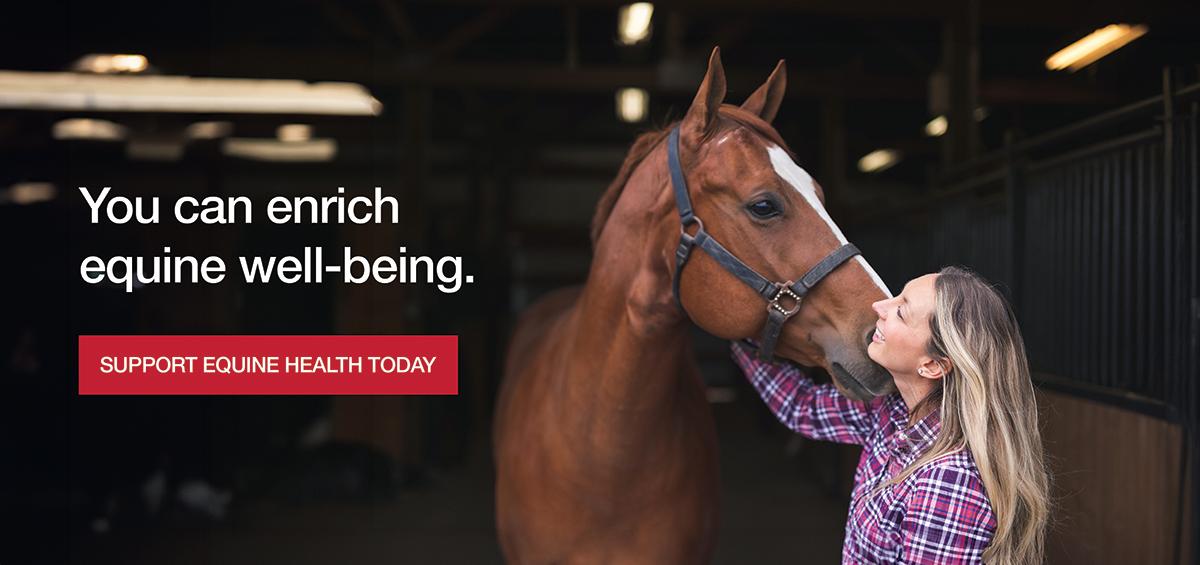 Enrich wellbeing donation campaign 2024