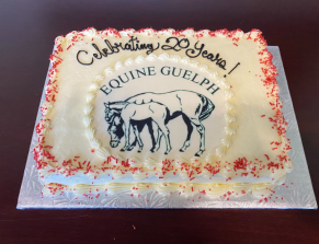 20th Anniversary cake Equine Guelph