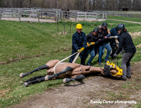 Large Animal Emergency Rescue Sideways drag