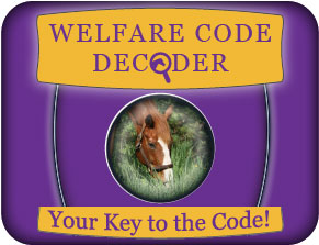Code Decoder