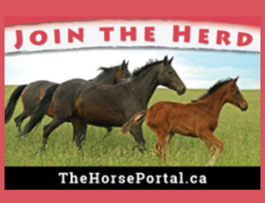 Horse Portal logo