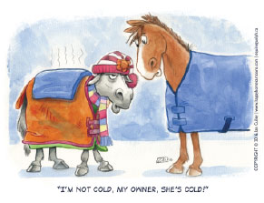 Blanket cartoon _Ian Culley