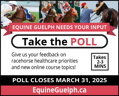Racing courses poll for EG courses Mar 2025
