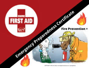 Emergency Certificate