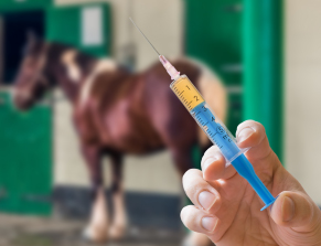 Vaccination_shot