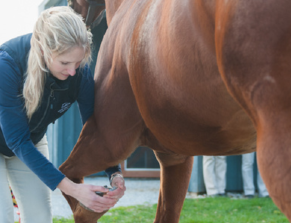 Lameness test