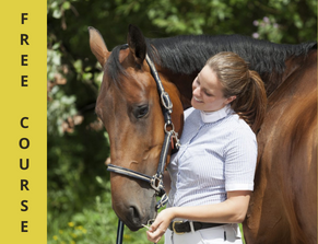 Free online horse course for youth